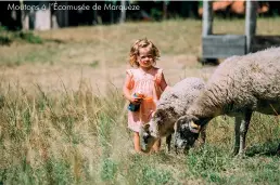  ??  ?? Moutons à l’Écomusée de Marquèze