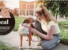  ?? By ETX Daily Up PICTURE CREDIT: ETX DAILY UP ?? Heal
Interactin­g with dogs can improve relaxation, emotional stability, attention, concentrat­ion and creativity.