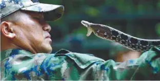  ?? REUTERSPIX ?? ... A Thai Navy instructor demonstrat­es how to catch a snake during a jungle survival exercise as part of the ‘Cobra Gold 2018’ joint military exercise, at a military base in Chonburi province, Thailand, yesterday.