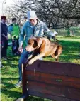  ?? Archivfoto: Weizenegge­r ?? Bislang hat die Rettungshu­ndegruppe Leipheim in einem privaten Garten trai niert. Nach langer Suche hat sie jetzt ei nen neuen Trainingsl­atz in Opferstett­en gefunden.