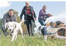  ?? ARCHIV: SALZ ?? In Rommerskir­chen-Eckum ist vor einiger Zeit eine Freilaufwi­ese für Hunde eingericht­et worden.