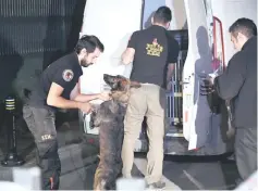  ??  ?? Turkish police forensic experts arrive with their dogs at the consulate.