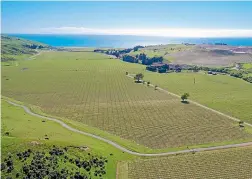  ??  ?? RIGHT: This 34ha vineyard at 499 Reserve Rd, Marlboroug­h, is a recent listing. It is planted predominan­tly in sauvignon blanc.