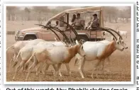  ??  ?? Out of this world: Abu Dhabi’s skyline (main picture) and oryx at Sir Bani Yas reserve