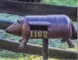  ??  ?? Left: The black egret — fishing for mail Above: Wombat deliveries Below: Hi, guys! Any mail for me?