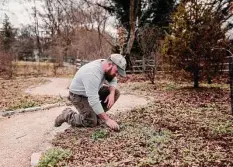  ?? Hannah Yoon / Washington Post contributo­r ?? Aaron Greenberg, arboretum manager of a Philadelph­ia cemetery, tends to a natural burial site where 258 people have bought space.