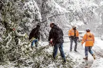  ?? Stephen Lam/The Chronicle ?? A downed tree is removed from along a snow-laden Skyline Boulevard in February.