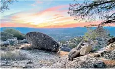  ?? ?? g Bright future: El Encinarejo, a 2,500-acre estate at the forefront of conservati­on efforts
h Purrfect day: Richard and Sarah Madden toast their cat-spotting success back at the finca