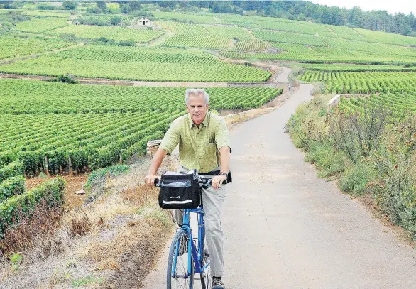  ?? RICK STEVES/FOR POSTMEDIA NEWS ?? Biking and wine can make for an intoxicati­ng mix among the world famous vineyards of Burgundy’s Côte d’Or.