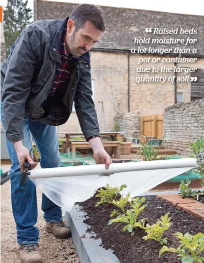  ??  ?? TOP Protect early crops from frost with horticultu­ral fleece or cloches