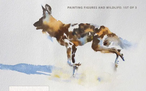  ??  ?? The Day of the Jackal, watercolou­r, 538in (12.5320.5cm).
Yellow ochre, Prussian blue and burnt sienna were used wet-into-wet to paint this jackal. The Prussian blue and burnt sienna were mixed together to make the dark brown and black