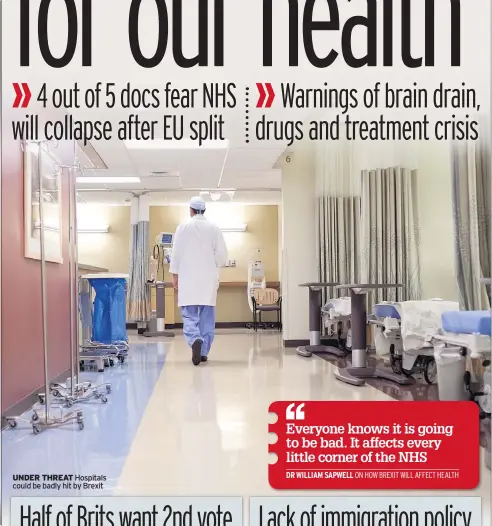  ??  ?? UNDER THREAT Hospitals could be badly hit by Brexit