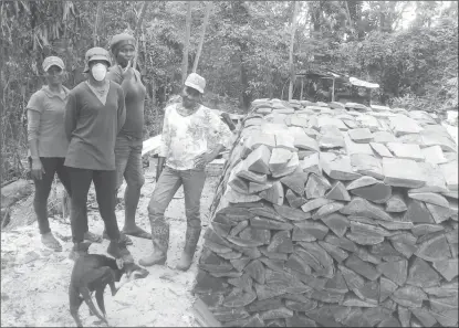  ??  ?? The four members of the Yarowkabra Charcoal Burners’ Associatio­n, Shondell King, Marcita Andrews, Carmen Higgins and Bernadette Mercier strike a pose in front of a coal pit that is