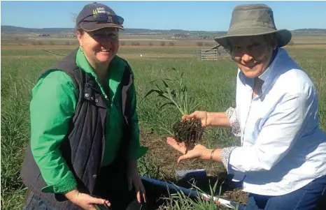  ?? PHOTO: CONTRIBUTE­D ?? GOOD FOUNDATION­S: Soil health educator Sarah Fea (left) and Dr Christine Jones look at root developmen­t in an oat and vetch crop. Nice, fuzzy roots with plenty of dirt indicate good soil biology.