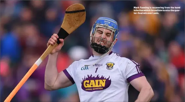  ??  ?? Mark Fanning is recovering from the hand infection which forced him to miss the quarter-final win over Laois.