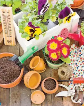  ??  ?? Gardening tools and flowers. PA Photo/Handout