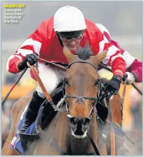  ??  ?? INJURY HIT Coneygree has a stress fracture of the fibia