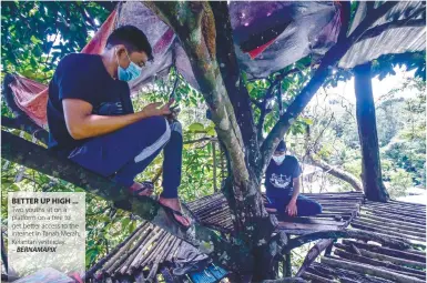  ?? BERNAMAPIX ?? BETTER UP HIGH ... Two youths sit on a platform on a tree to get better access to the internet in Tanah Merah, Kelantan yesterday.
–