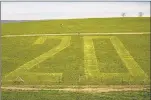  ?? MARK MIRKO/HARTFORD COURANT ?? Grass is cut at UConn’s Horsebarn Hill in recognitio­n of the class of 2020. Officials announced Wednesday that the university will conduct an online commenceme­nt ceremony.