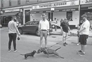  ?? MARK LENNIHAN/AP ?? Dogs greet each other nose to nose while people gather on a street in the Hell’s Kitchen neighborho­od of New York on May 29 during the coronaviru­s pandemic. The street has been blocked off from traffic to allow residents to gather in open spaces with some social distancing.