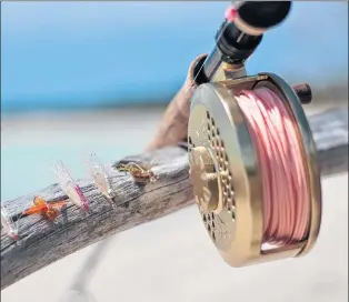  ??  ?? On a beach in Turks and Caicos, my Canadian-made Islander reel on an Sage USA made rod. The line is from England.