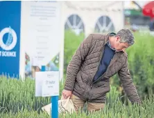  ??  ?? Cereals 2021 will return to the
Lincolnshi­re fields.