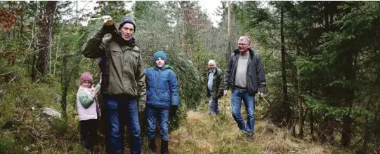  ??  ?? BAR TREET NED: Det cirka tre meter høye treet ble båret ned gjennom skogen av store og små.