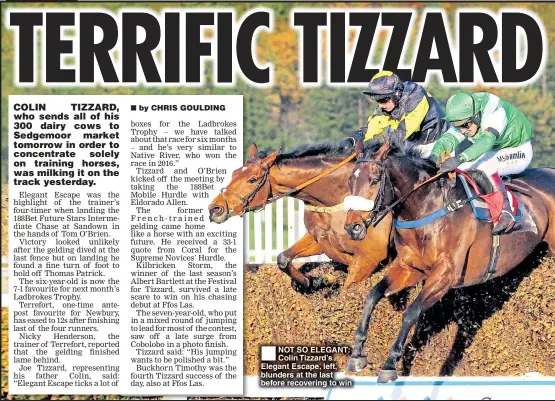  ??  ?? NOT SO ELEGANT: Colin Tizzard’s Elegant Escape, left, blunders at the last before recovering to win