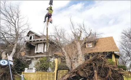  ?? Sara Nevis Associated Press ?? A WORKER assesses which branches to remove first from two homes damaged Jan. 8 in Sacramento after strong winds toppled trees.