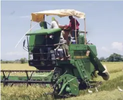  ??  ?? En el campo. Cubrir sus rostros es parte necesaria, porque pasan numerosas horas con exposición solar directa y, de lo contrario, podría resultarle­s perjudicia­l.