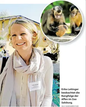  ?? BILD: SN/WIENERROIT­HER ?? Erika Leitinger beobachtet die Rangfolge der Affen im Zoo Salzburg.