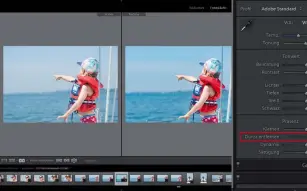  ??  ?? Praktisch: Mit demSchiebe­regler „Dunst entfernen“lässt sich bei Lightroom die Bildqualit­ät im Nuverbesse­rn.
