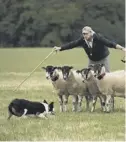  ??  ?? 0 Summer activities can include sheepdog trials and local shows