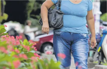  ?? VANEXA ROMERO/ ARCHIVO ?? Es una grasa escasa en humanos. Estudios sugieren que su activación favorece la quema de grasa acumulada en personas obesas.