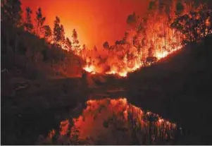  ?? AFPPIX ?? ... A wildfire is reflected in a stream at the municipali­ty of Penela in central Portugal yesterday. The blaze killed at least 62 people and injured scores of others. Most of the victims burned to death in their cars, the government said. Several...