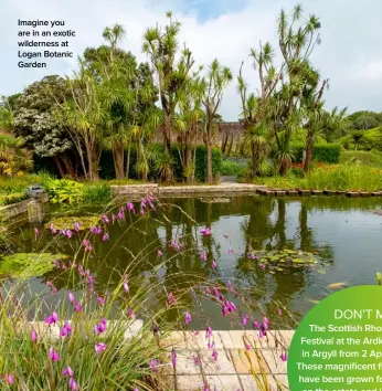  ??  ?? Imagine you are in an exotic wilderness at Logan Botanic Garden