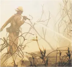  ??  ?? HARD WORKING: A firefighte­r sprays water on a flare up as a wildfire burns along the Pacific Coast Highway close to Naval Base Ventura County (NBVC) near Point Mugu, California. — AFP photo