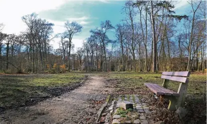  ?? ARCHIV: WOI ?? Der Jostensbus­ch erinnert auch Jahre nach Pfingsttur­m „Ela“wenig an einen Park. Das soll sich jetzt ändern.