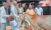  ?? HT PHOTO ?? ▪ Himachal Pradesh governor Acharya Dev Vrat feeding a cow in Gorakhpur as CM Yogi looks on.