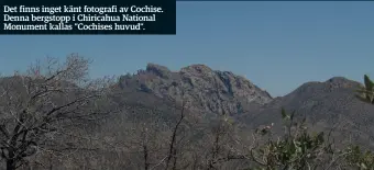  ??  ?? Det finns inget känt fotografi av Cochise. Denna bergstopp i Chiricahua National Monument kallas ”Cochises huvud”.