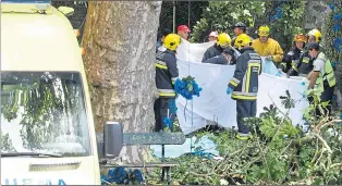  ??  ?? Firefighte­rs and other rescue workers at the site where the tree fell near a church