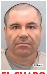  ??  ?? El Chapo