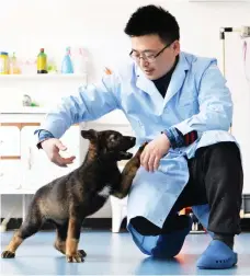  ?? — Reuters photo ?? A researcher interacts with Kunxun, a dog cloned from a police dog, in Beijing.