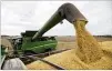  ?? AP 2018 ?? Soybeans were among China’s top U.S. imports last year. China had a $323 billion trade surplus with the U.S. in 2018.