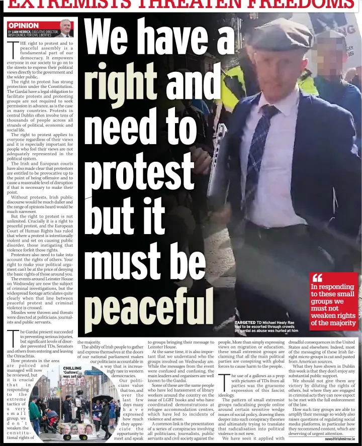  ?? ?? CHILLING ‘Gallows’ was set up
TARGETED TD Michael Healy Rae had to be escorted through crowds by gardai as abuse was hurled at him