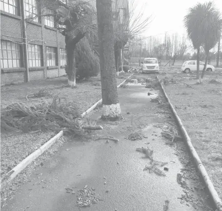  ??  ?? EL LICEO LLANO BLANCO la semana pasada vio interrumpi­do el suministro de luz.