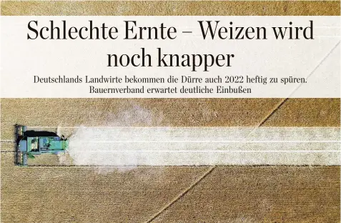  ?? PATRICK PLEUL / DPA ?? Besonders Brandenbur­g leidet seit Jahren unter großer Trockenhei­t. Seit März hat es viel zu wenig geregnet.