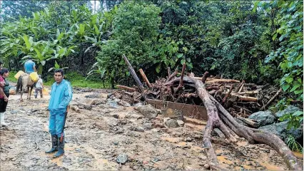  ?? CORTESÍA ?? Cotopaxi. Los deslizamie­ntos de tierra y árboles han cortado algunas vías entre recintos y cantones.