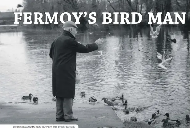  ??  ?? Pat Phelan feeding the ducks in Fermoy. (Pic: Deirdre Casolani)