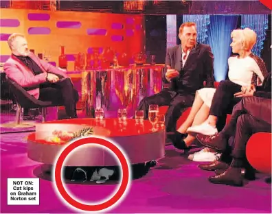  ??  ?? NOT ON: Cat kips on Graham Norton set